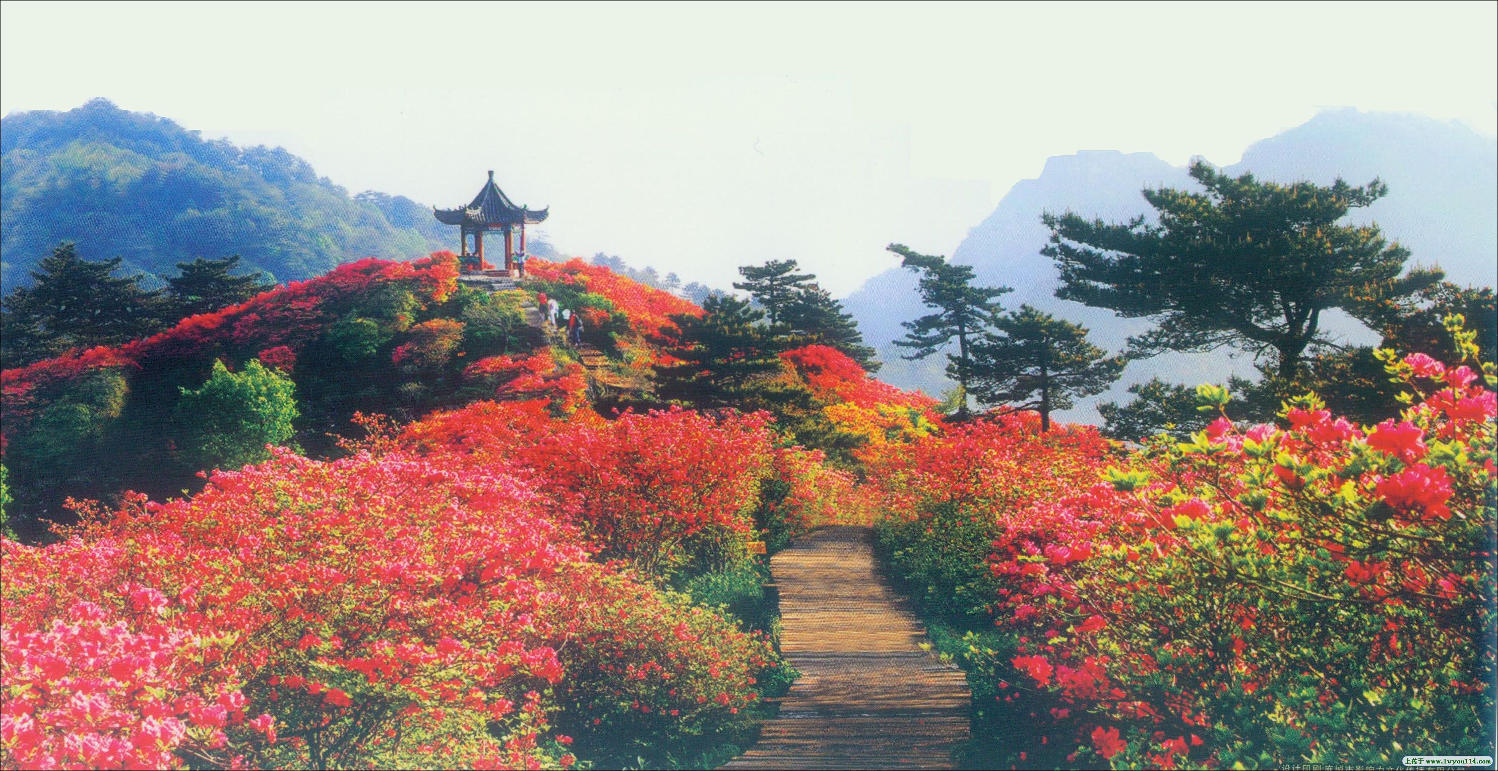 鋼結(jié)構(gòu)廠房通風(fēng)降溫方案、廠房車間通風(fēng)降溫方案、大型工業(yè)風(fēng)扇、物流倉儲大風(fēng)扇、大吊扇、工業(yè)風(fēng)扇、廠房車間降溫設(shè)備、廠房車間通風(fēng)設(shè)備、車間溫控設(shè)備、工業(yè)大吊扇、工業(yè)大風(fēng)扇、工業(yè)節(jié)能風(fēng)扇、湖北瑞兆偉業(yè)通風(fēng)降溫科技有限公司