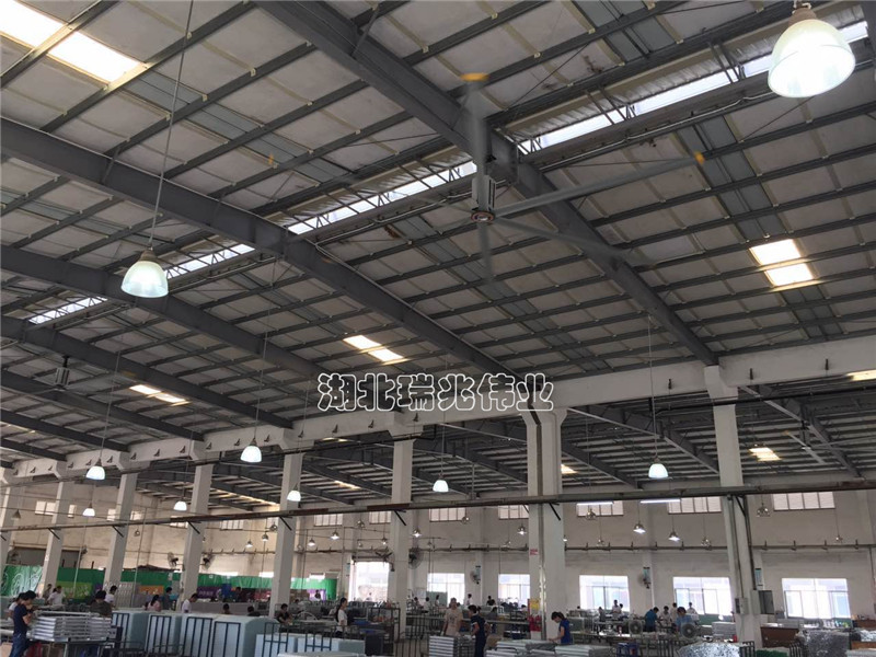 IMG_2895.jpg IMG_2895.jpg