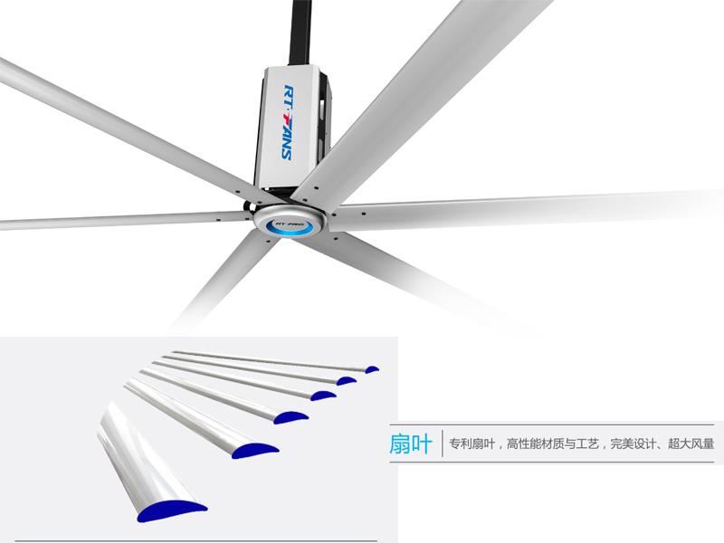 210225003.jpg 210225003.jpg