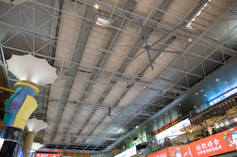 _DSF6093.jpg _DSF6093.jpg