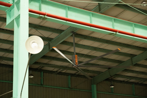 _DSF5809.jpg _DSF5809.jpg