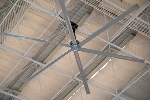 _DSF6097.jpg _DSF6097.jpg