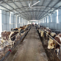 奶牛場通風降溫解決方案